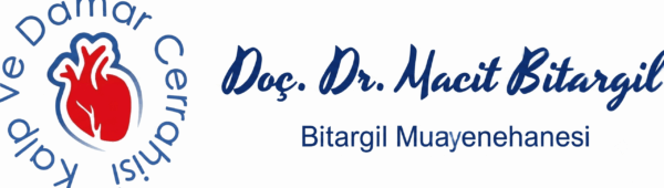 Logo Bitargil Muayenehanesi scaled e1784723275867