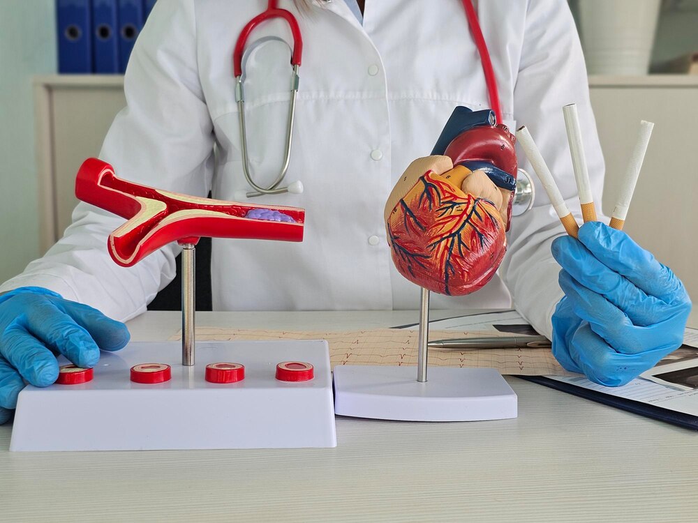 doctor-holds-cigarettes-models-heart-artery_587895-6597.jpg