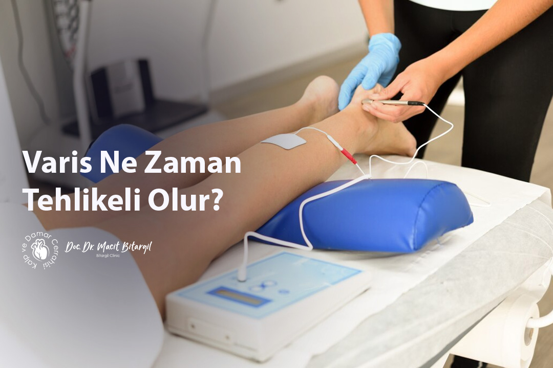 Varis Ne Zaman Tehlikeli Olur?