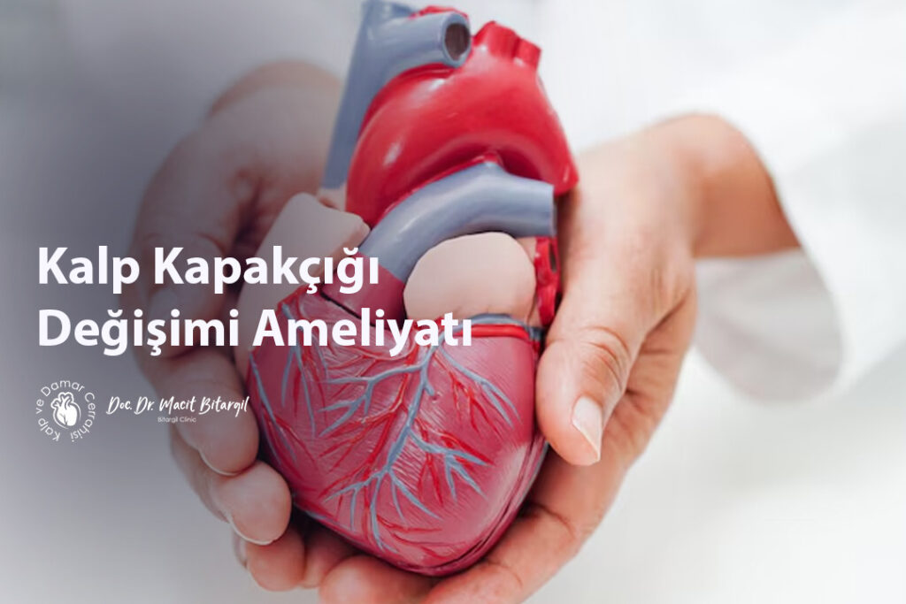 Kalp Kapakçığı Değişimi Ameliyatı