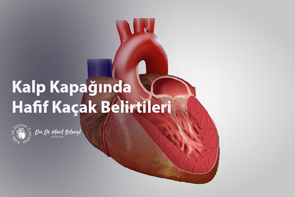 Kalp Kapağında Hafif Kaçak Belirtileri